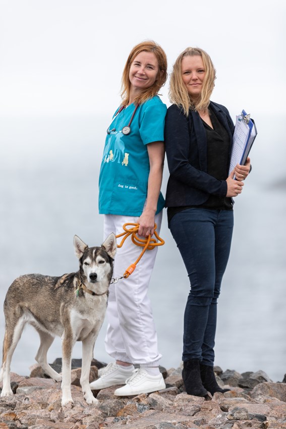 Bild på Psychovets grundare Helene Seljenes Dalum och Marianne Linder Olsen tillsammans med en hund i koppel